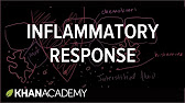 7._Inflammatory_response.jpg