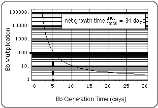 Bb Growth vs. Bb Generation Time