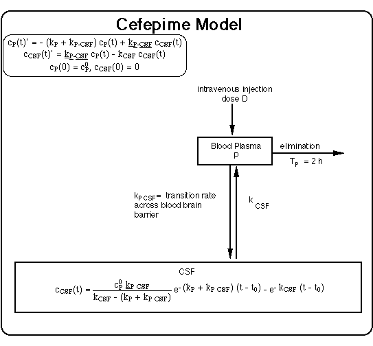 Pharmacokinetic Model: Cefepime